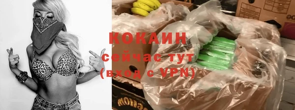дживик Баксан