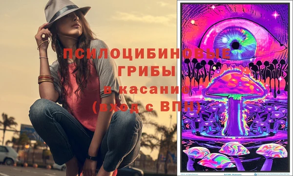 гидра Балахна
