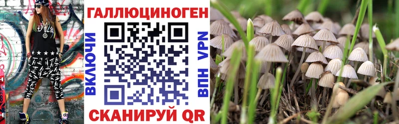 сколько стоит  Белинский  Псилоцибиновые грибы прущие грибы 